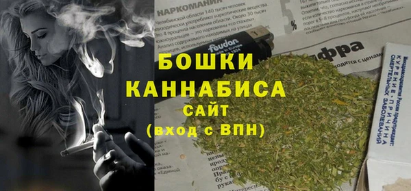 индика Михайловск