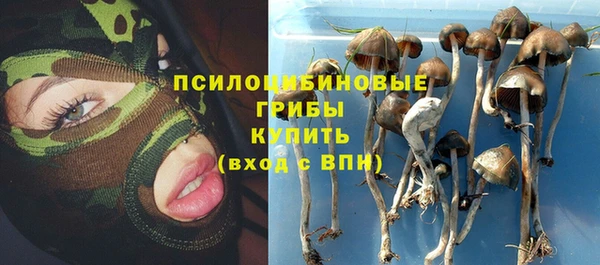 герыч Мегион