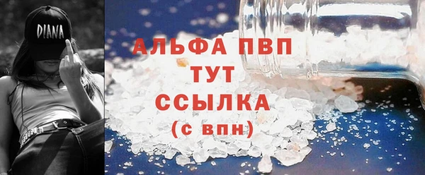индика Михайловск