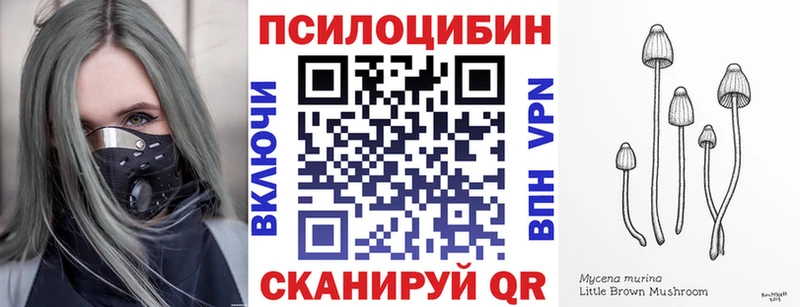 Галлюциногенные грибы Magic Shrooms МЕГА ССЫЛКА Шилка