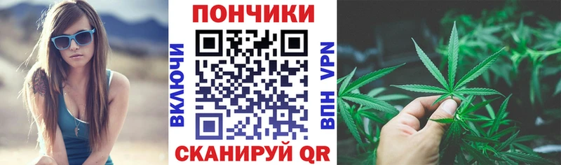 Канабис конопля  Шилка 